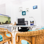 recepition b&b Stanze del mare Balestrate acquario
