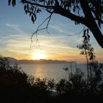 Vista dal bosco del mare di Balestrate