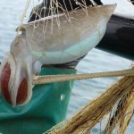 Tradizioni di pesca in Sicilia, cattura della seppia, pesca turismo