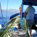 Pesca Balestrate
