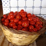 Pomodori freschi raccolto passata salsa casa