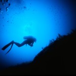 Immersione subacque sui fondali rocciosi della Sicilia
