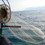 Pesca delle seppie, pesca artigianale, Blestrate