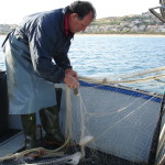 Pesca delle seppie con reti, Balestrate, pesca artigianale,